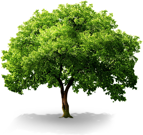 플래티늄 마르페